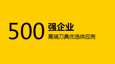 500強(qiáng)企業(yè)